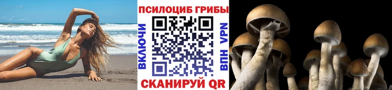 цены наркотик  Фатеж  Псилоцибиновые грибы GOLDEN TEACHER 